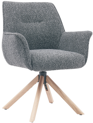 The modern minimalist dining chair